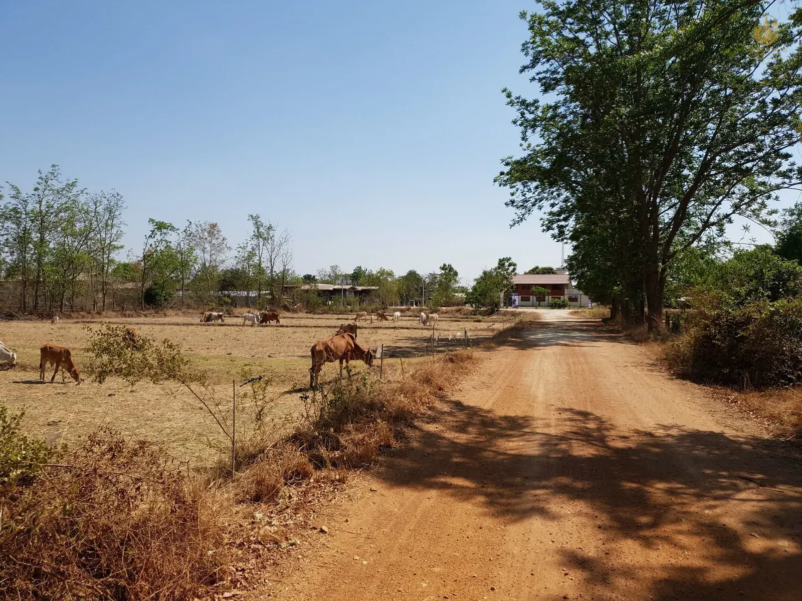 Conquering the S-Curve: The Ultimate Guide to a Vietnam Cycling Tour South to North